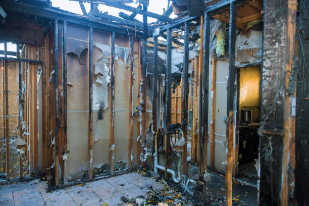 Professional Fire Damage Removal technician working in Andover, KS